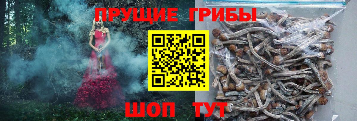 Галлюциногенные грибы Magic Shrooms  Вход с VPN  Якутск 